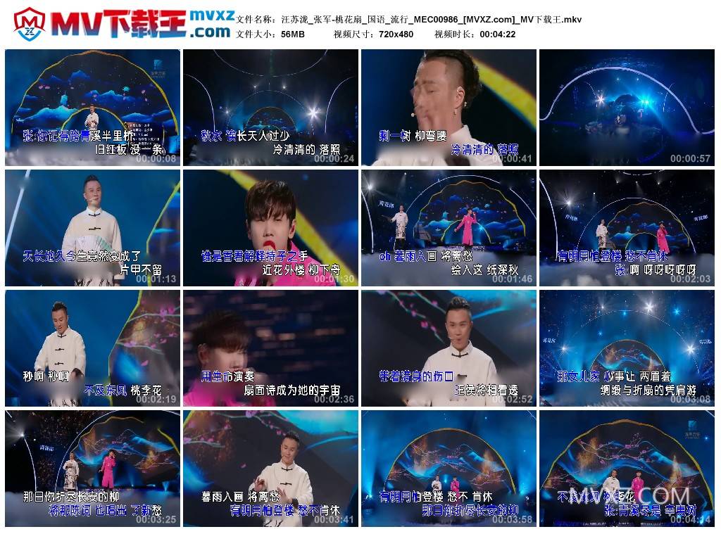 汪苏泷_张军-桃花扇_国语_流行_MEC00986